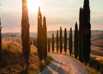 Unter der roten Sonne der Toskana